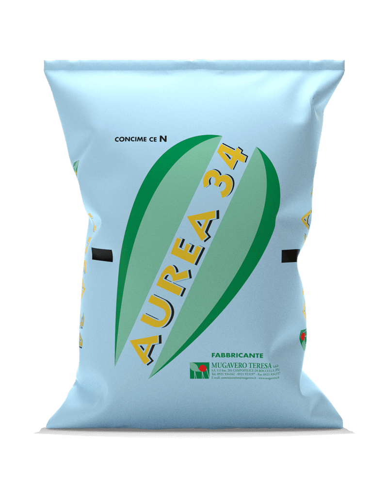 Aurea 34 Mugavero