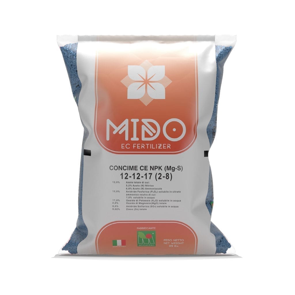 Mido Blau 12 12 17 Mugavero