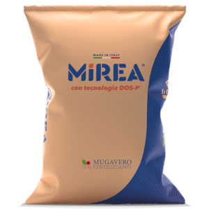 Linea Mirea