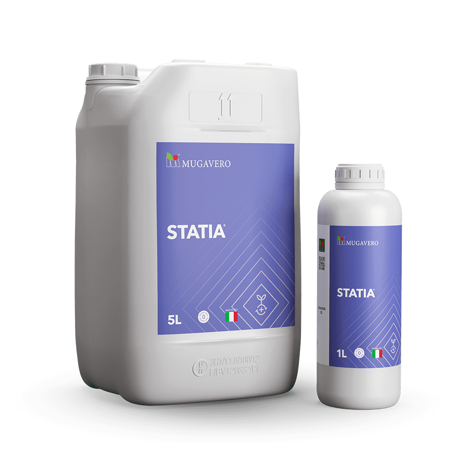 statia induttore resistenza