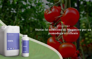 Pomodoro