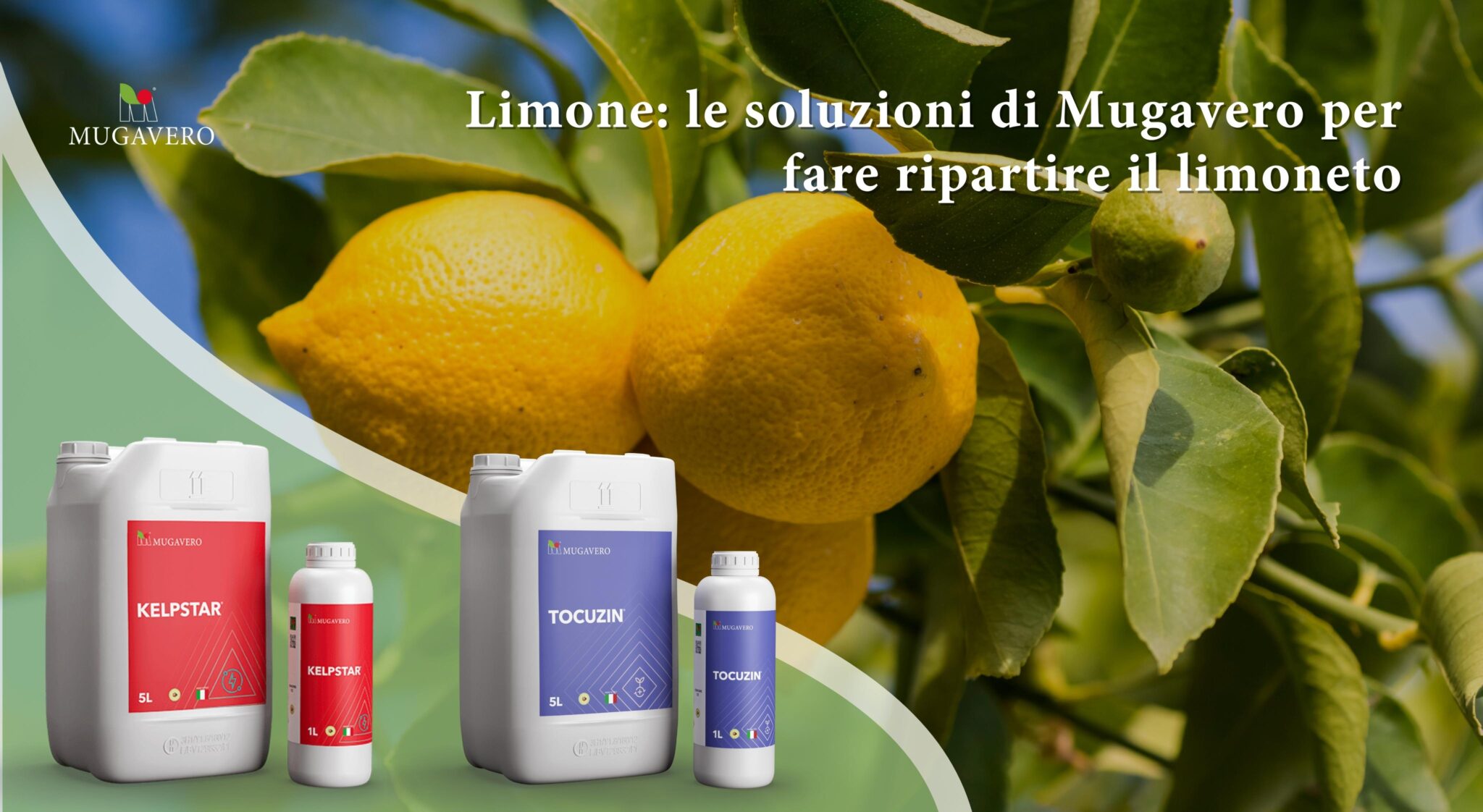 Limone