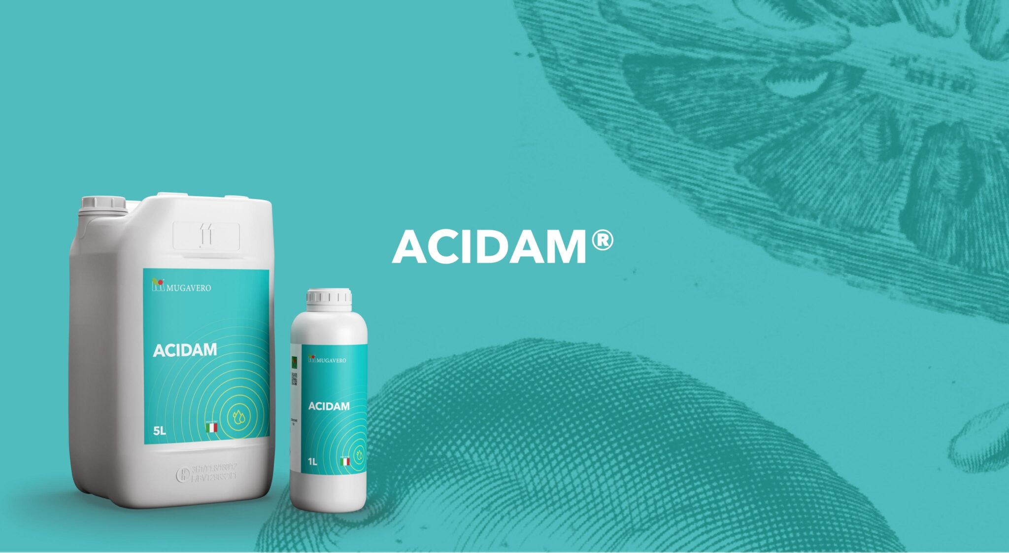 Acidam