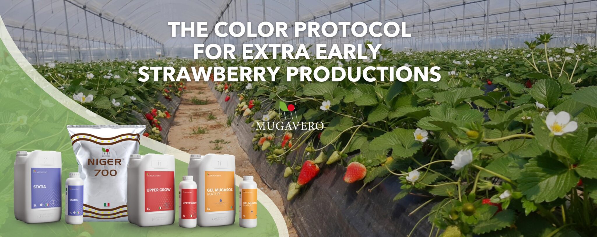 Mugavero color protocol