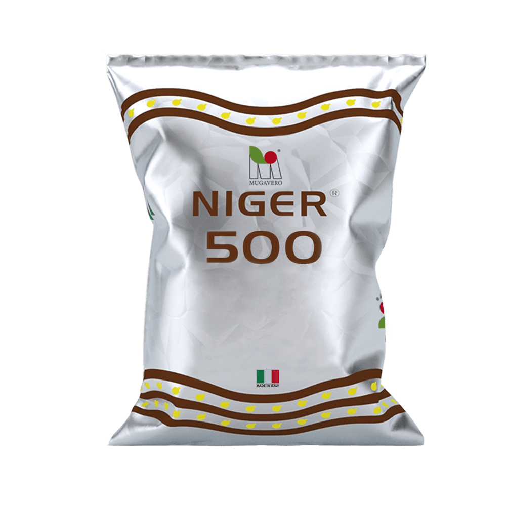 Niger 500 Mugavero