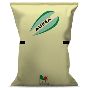 Linea Aurea