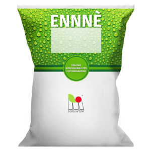 Ennnè Line - الإفراج البطيء